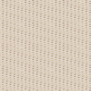 PWSR037.POWDER