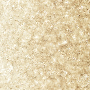 28159 E Straw