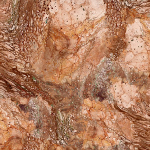 28291 T rust