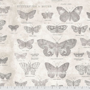 PWTH004.PARCHMENT.jpg