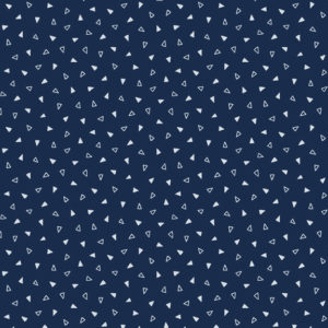 R210196-Navy