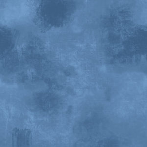 28877 B.jpg