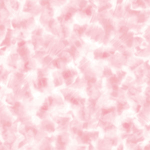 29008 PI