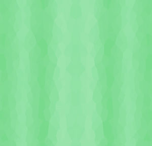 29043 H
