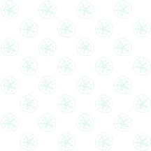 29044 Q