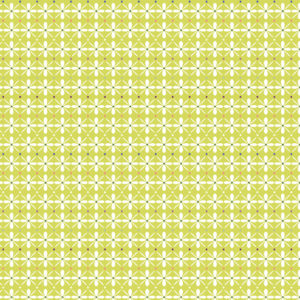 R250232D-Lime