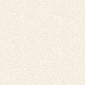 R250236D-Cream