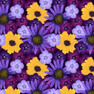 PWWP009.XPURPLE