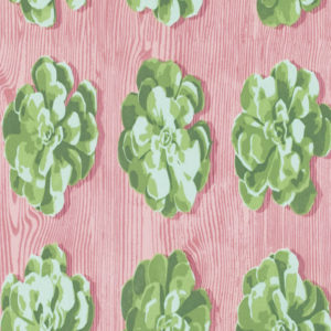 PWJD130.CACTU