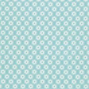 PWTW105.BLUEX