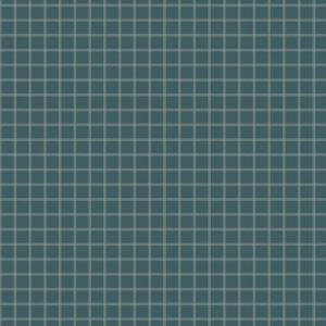W1107-BLUE