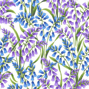 1113-PWSL098.BLUE