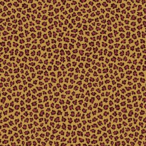 M623-R51-5003-0113