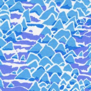 WE79-BM14-BLUE