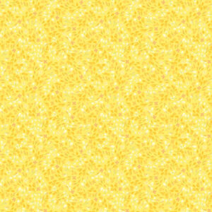 53855-8