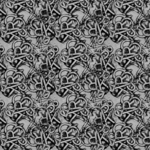 PWEB040.XRAY