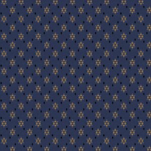 R170718D-Blue