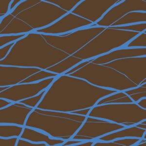 PWVF040.BROWN