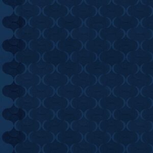 PWVW037.INDIGO