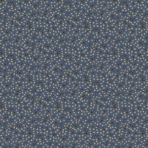 R170829D-BLUE