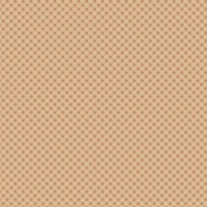 R170873D-TAN