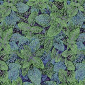 PWPJ129.GREEN