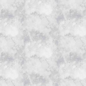 PWSR085.CLOUD
