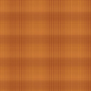 R041108-Orange