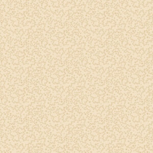 R170974D-Cream