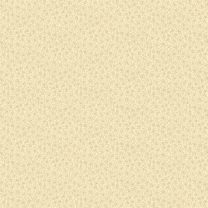 R170977D-Cream