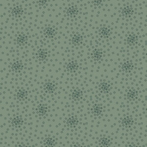 R590988D-Sage