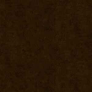 R650946D-Brown