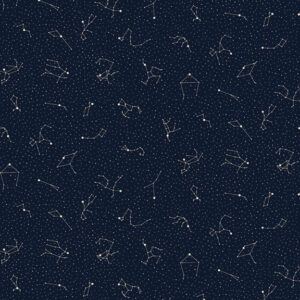 R751012D-Navy