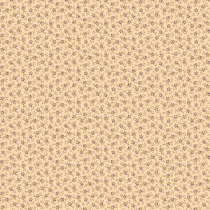 R171156D-Cream