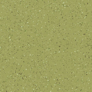 R190747D-Olive
