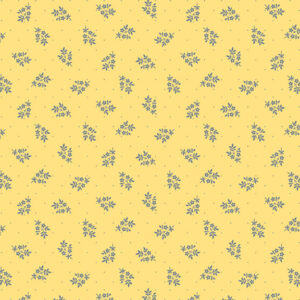 R311129D-Maize
