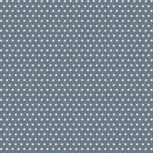R311136D-Blue
