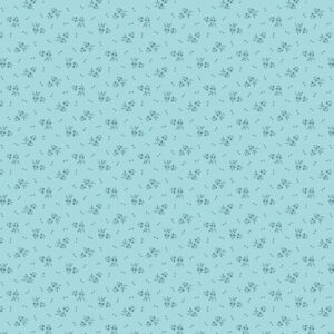 R261217D-SKY