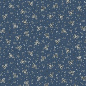 R221699D-BLUE
