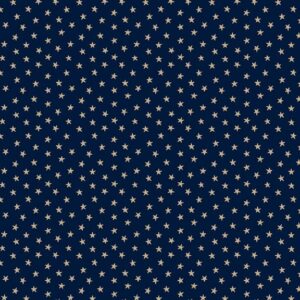 R221700D-NAVY