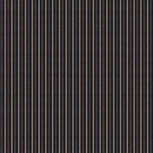 R221702D-BLACK