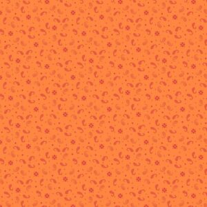 R801674D-ORANGE