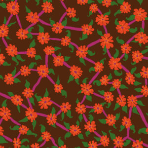PWBM106.BROWN Mayflower