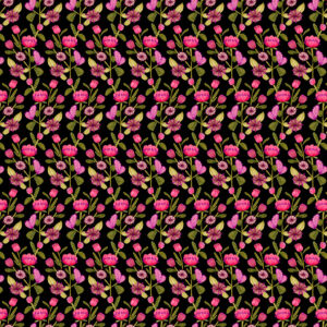 PWKI023.LICORICE Petal Path