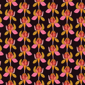 PWKI028.LICORICE-Protea-Majestica