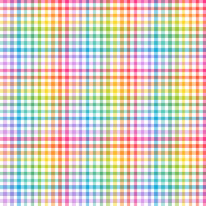 PWKT060.XWHITE Rainbow Gingham