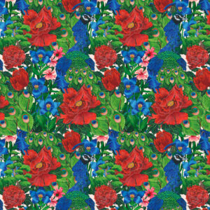 PWMM014.BLUE Peacock