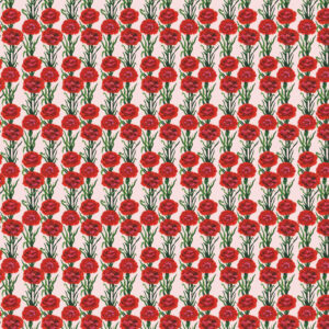 PWMM017.RED Carnation