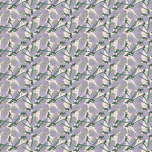 PWMM019.LILAC Dragonfly