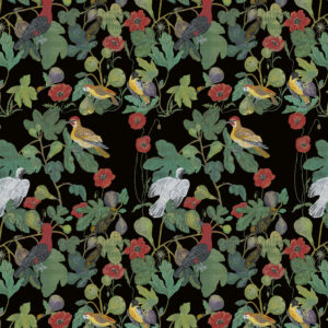 PWNL070.BLACK-Birds-in-the-Fig-Tree